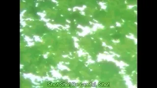 Minerva no Kenshi Episode 1 Preview