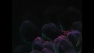 Injuu Seisen: Twin Angels 3 and 4 Preview